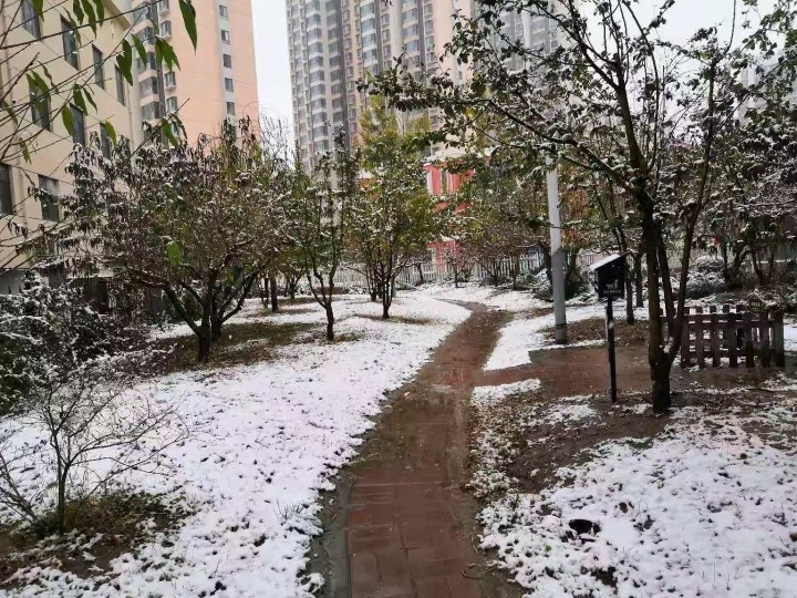 涿州下雪